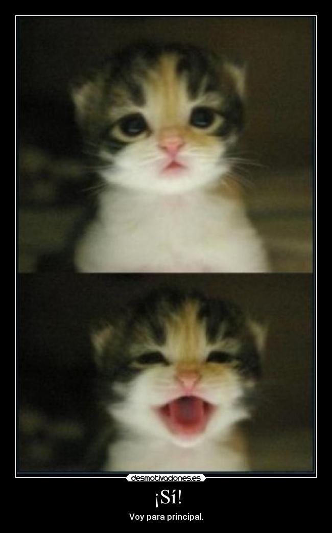 ¡Sí! - Voy para principal.
