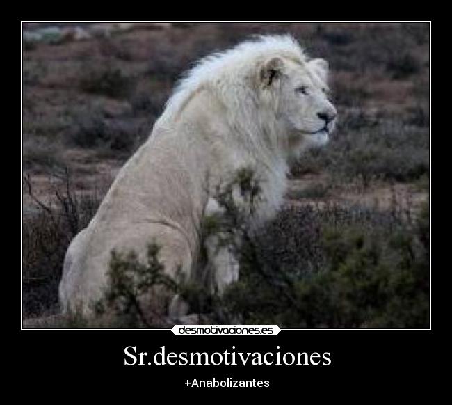 Sr.desmotivaciones - 