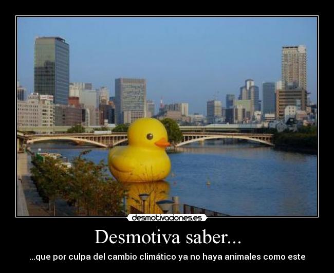 Desmotiva saber... - ...que por culpa del cambio climático ya no haya animales como este