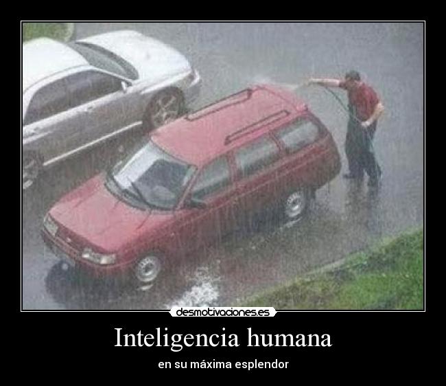 Inteligencia humana -