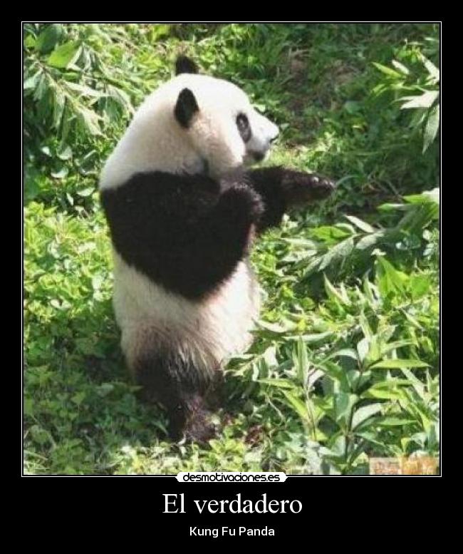 carteles fung panda desmotivaciones