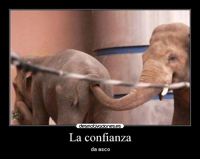 carteles confianza confianza asco desmotivaciones