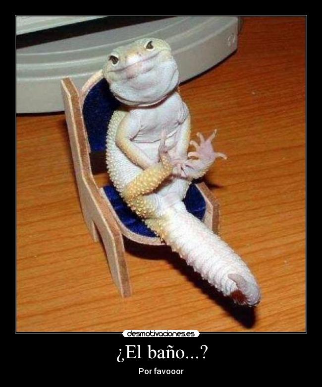 ¿El baño...? - 