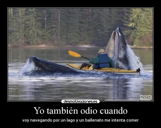 Yo también odio cuando - 