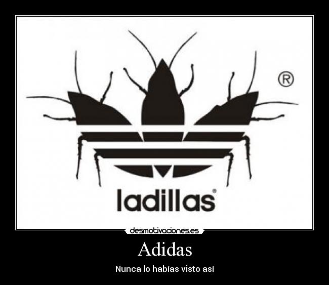 Adidas - 