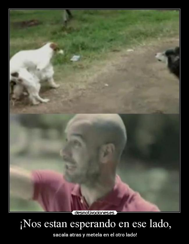 ¡Nos estan esperando en ese lado, - sacala atras y metela en el otro lado!