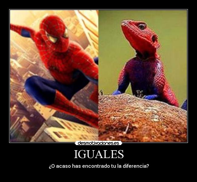 IGUALES - 