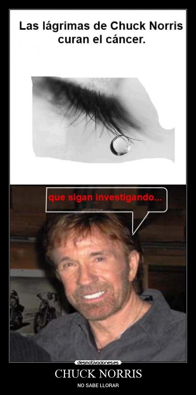 CHUCK NORRIS - 