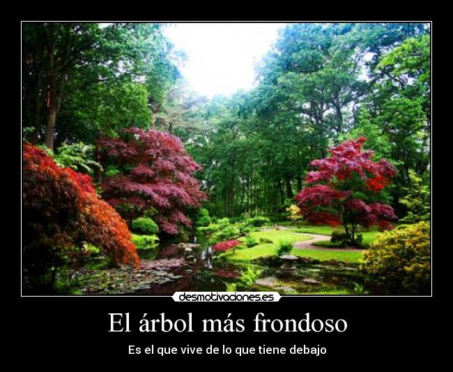 El árbol más frondoso - Es el que vive de lo que tiene debajo