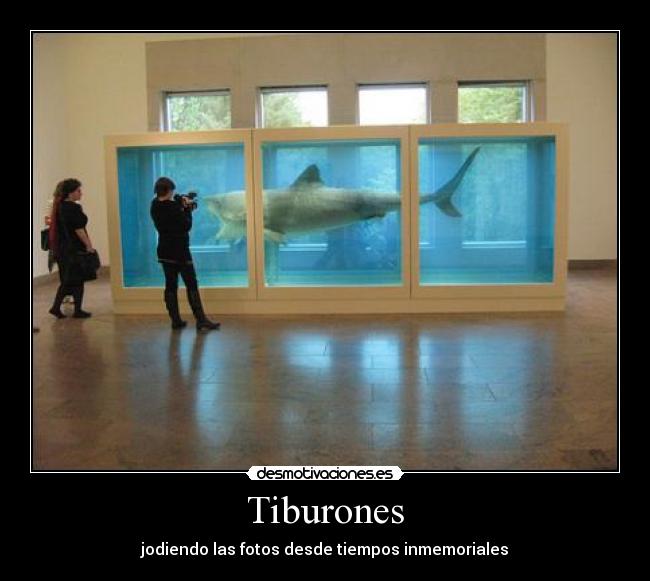 Tiburones - 