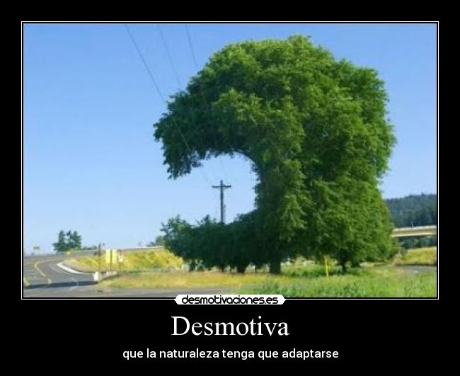 Desmotiva -