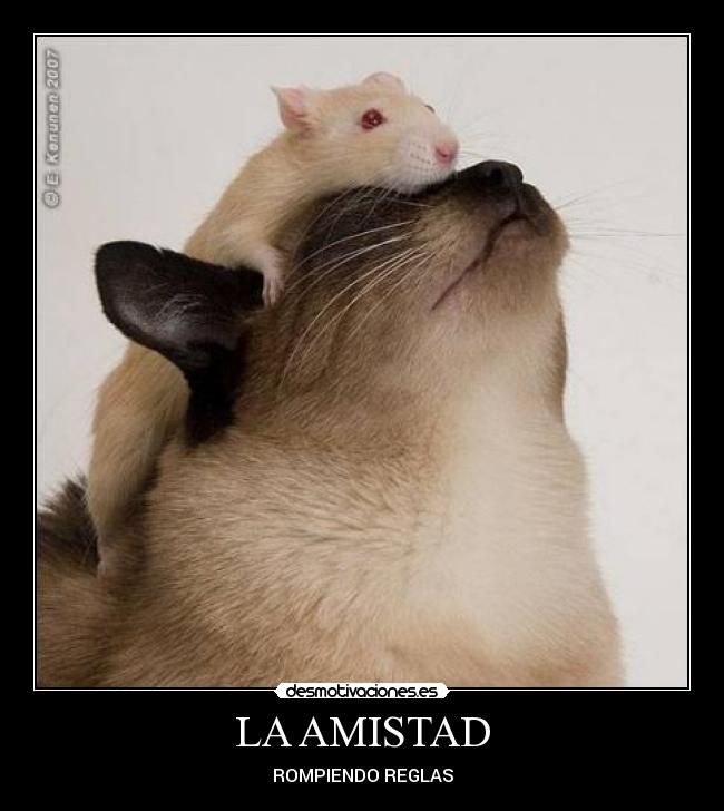 LA AMISTAD - ROMPIENDO REGLAS