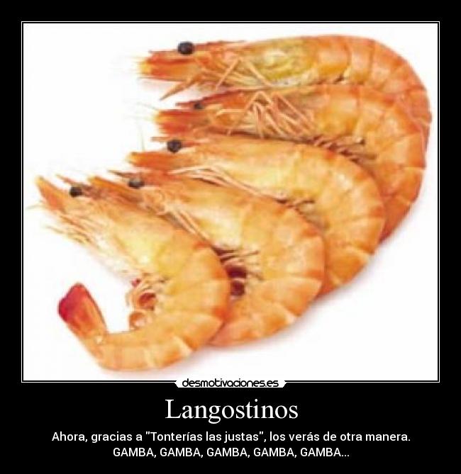Langostinos - Ahora, gracias a Tonterías las justas, los verás de otra manera.
GAMBA, GAMBA, GAMBA, GAMBA, GAMBA...