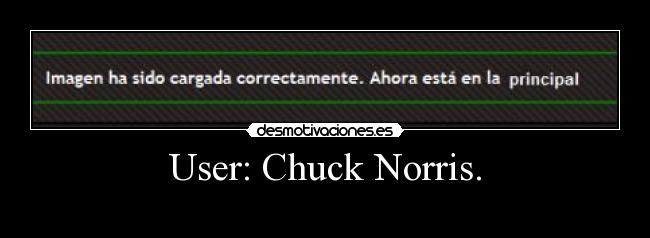 User: Chuck Norris. -