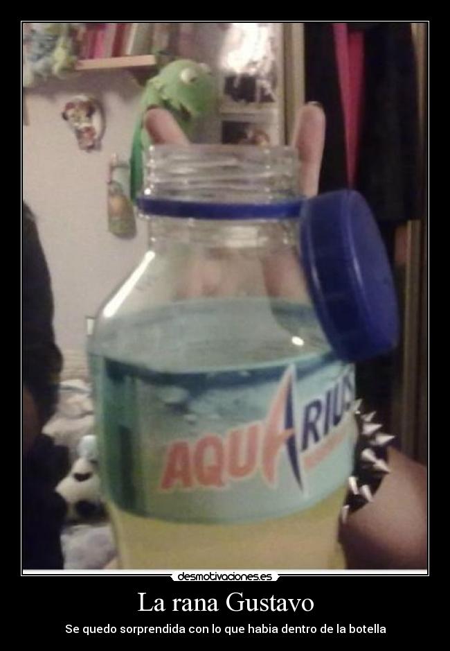 La rana Gustavo - Se quedo sorprendida con lo que habia dentro de la botella