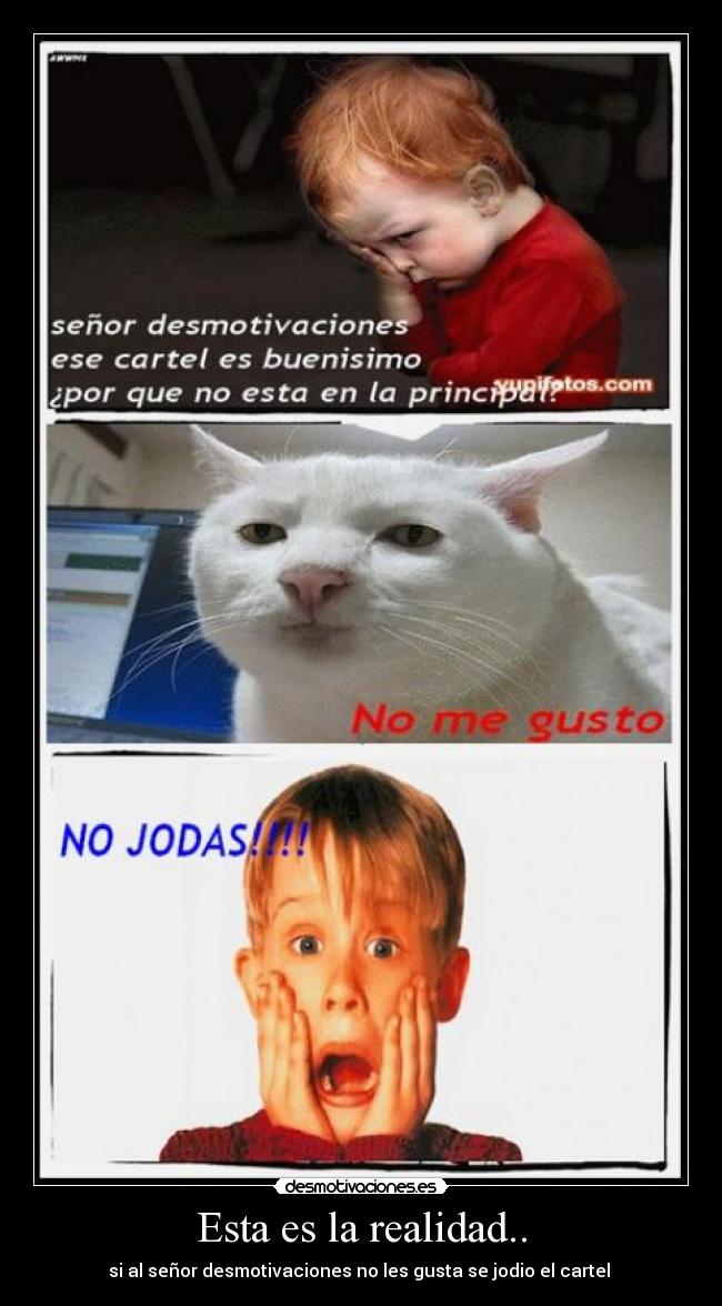 Esta es la realidad.. -