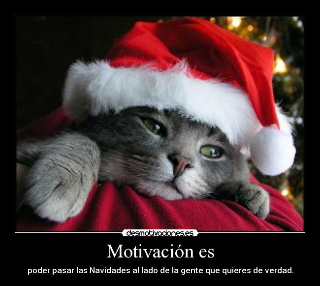 Motivación es - poder pasar las Navidades al lado de la gente que quieres de verdad.