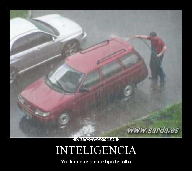 INTELIGENCIA - Yo diria que a este tipo le falta