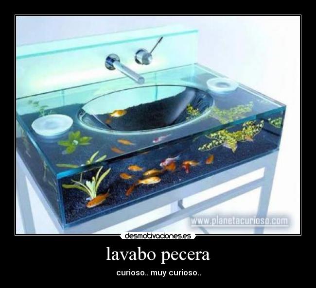 lavabo pecera - curioso.. muy curioso..