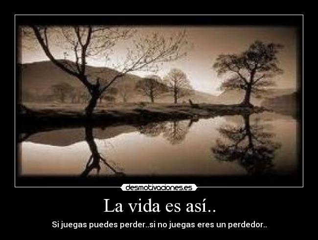 carteles vida vida asi desmotivaciones