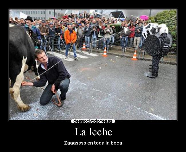 carteles anti-anti-disturbios desmotivaciones