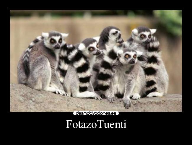 FotazoTuenti -
