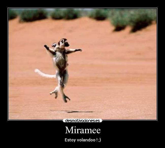Miramee -