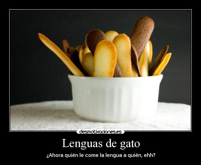 Lenguas de gato - 