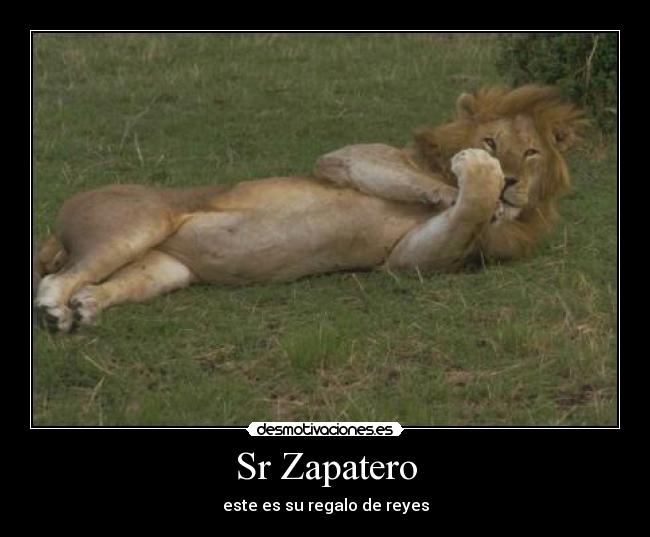 Sr Zapatero -