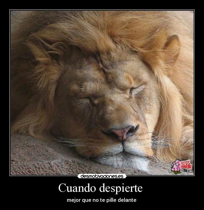 Cuando despierte  - mejor que no te pille delante 