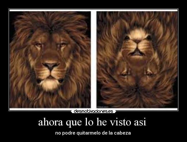 ahora que lo he visto asi  - 