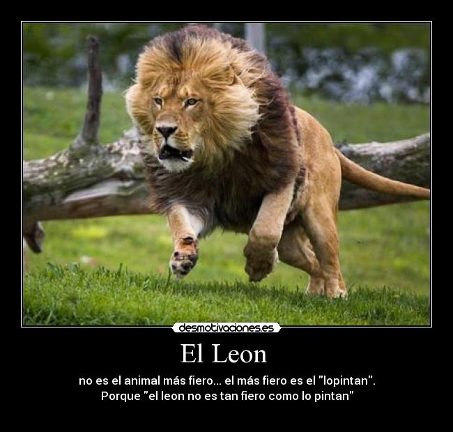 El Leon  - no es el animal más fiero... el más fiero es el lopintan.
Porque el leon no es tan fiero como lo pintan
