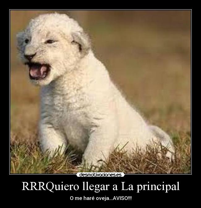 RRRQuiero llegar a La principal -