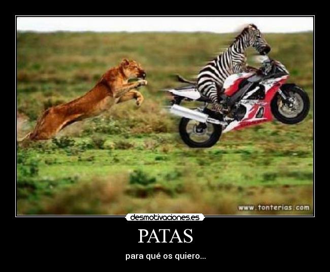 PATAS - para qué os quiero...