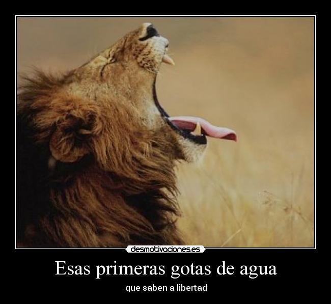 Esas primeras gotas de agua -