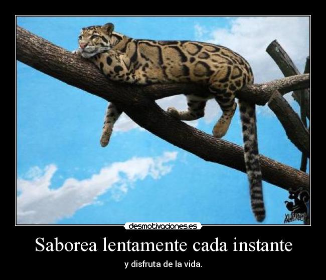 Saborea lentamente cada instante - y disfruta de la vida.