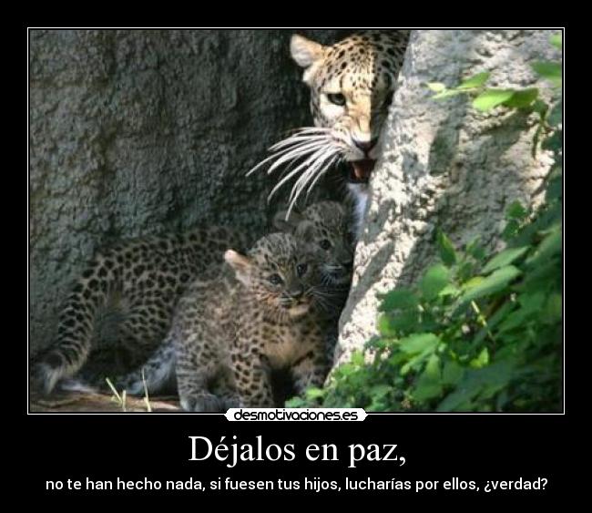 carteles isa^^ desmotivaciones