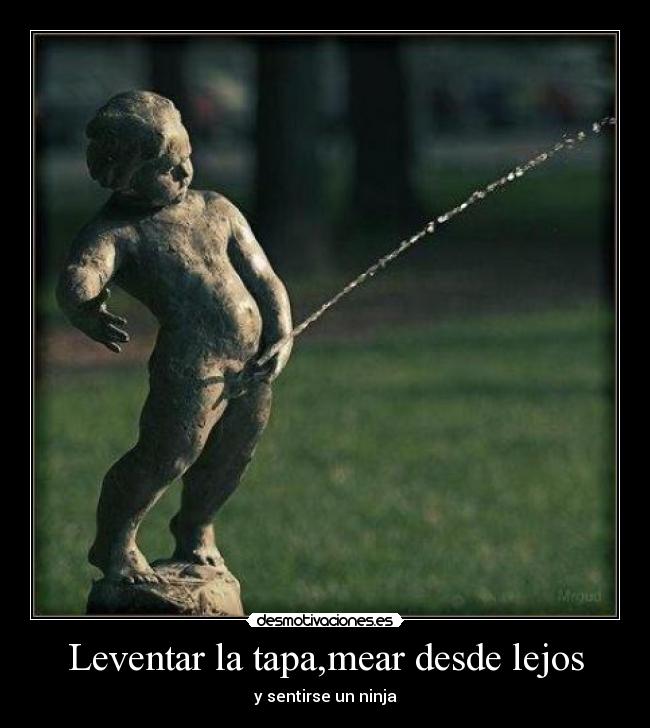 Leventar la tapa,mear desde lejos - y sentirse un ninja
