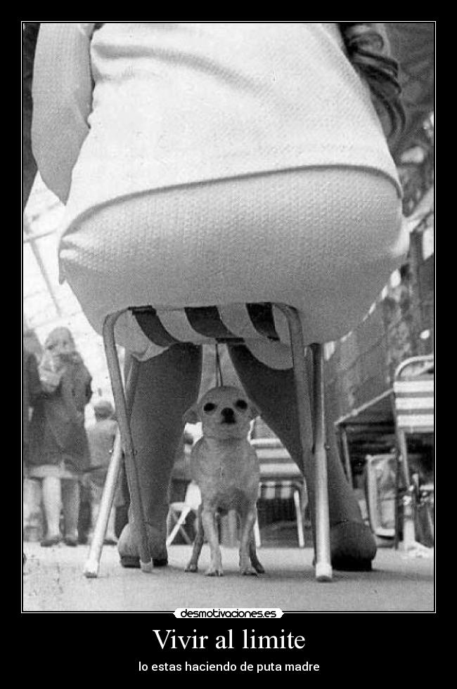 Vivir al limite -