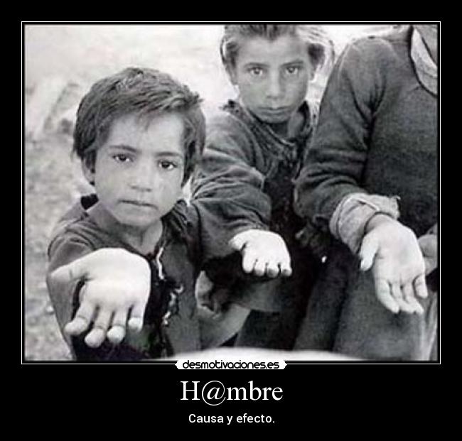 H@mbre - Causa y efecto.