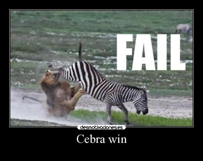 Cebra win -