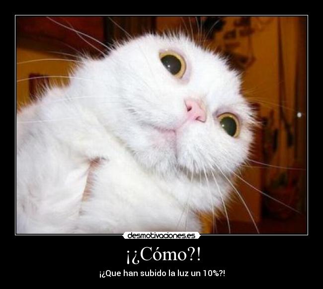 ¡¿Cómo?! - ¡¿Que han subido la luz un 10%?!