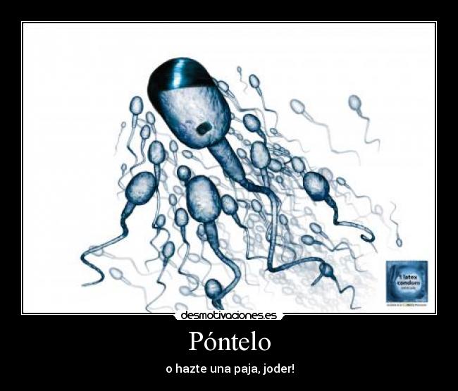 Póntelo - 