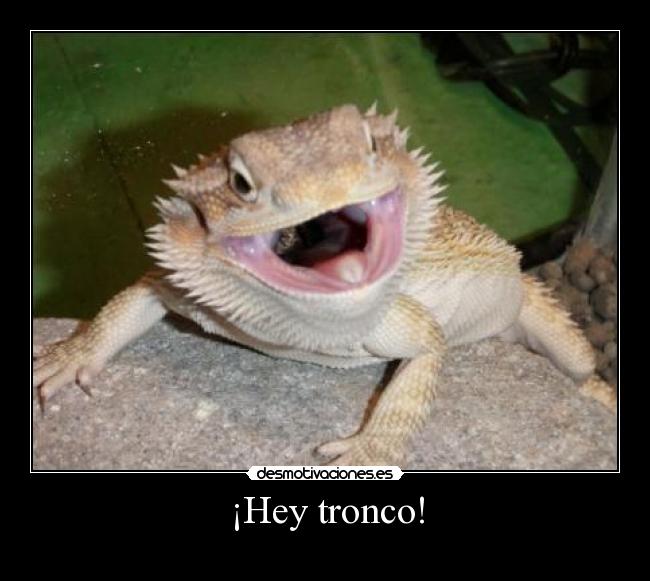 ¡Hey tronco! -