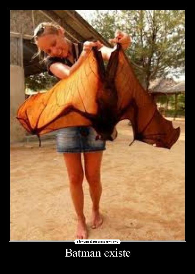 Batman existe -