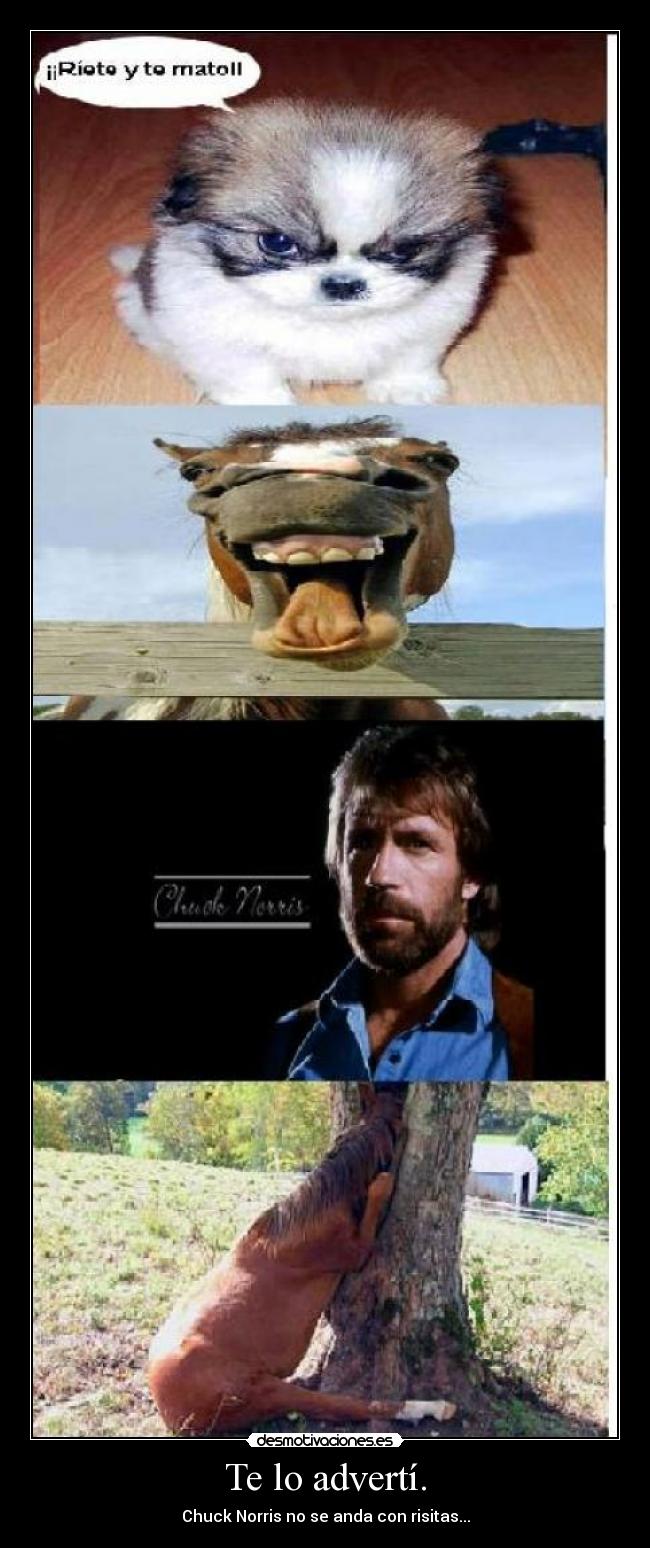 Te lo advertí. - Chuck Norris no se anda con risitas...