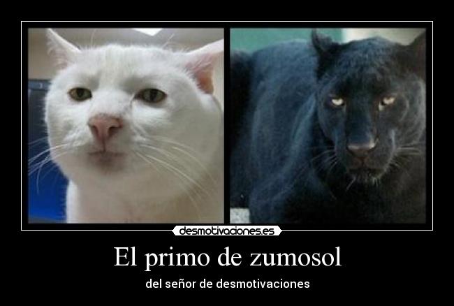 El primo de zumosol -