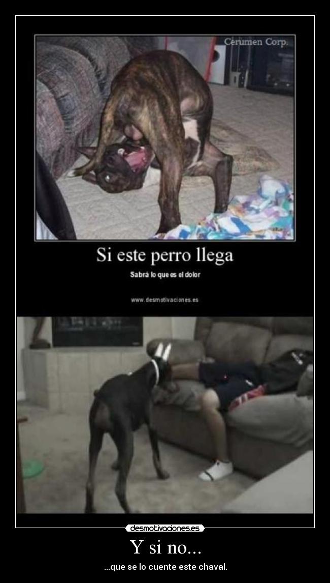 Y si no... - ...que se lo cuente este chaval.