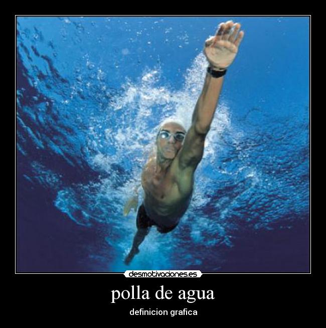 polla de agua - definicion grafica