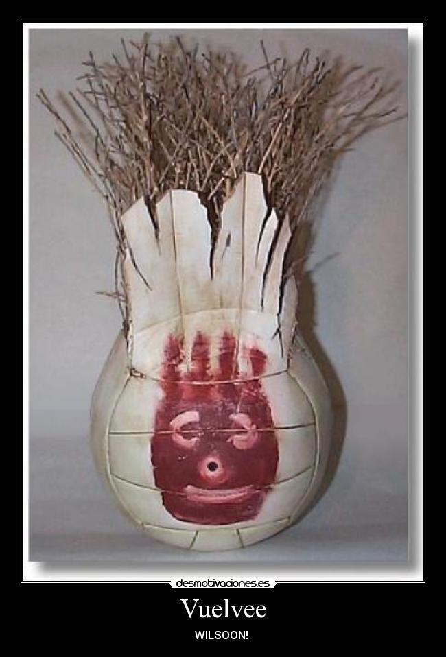 Vuelvee - WILSOON!